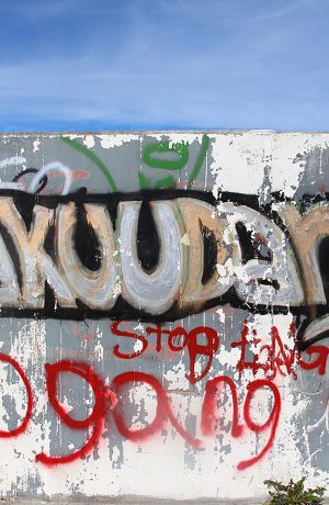 Photo Gallery for Sovereign Graffiti on Haida Gwaii