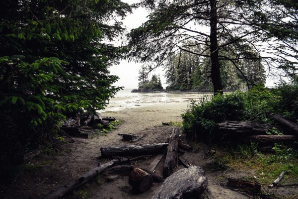 British Columbia Tofino Beach Image