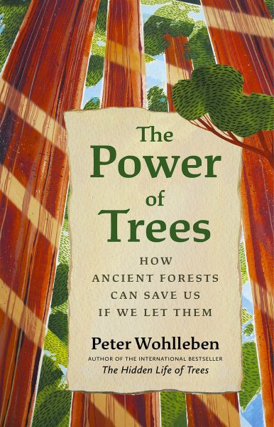 Cover: The Power of Trees: How Ancient Forests Can Save Us if We Let Them