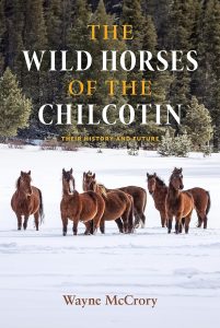 Cover Image: The Wild Horses of the Chilcotin: Their History and Future